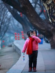 凡人修仙传动漫南宫婉配音演员形象，清冷知性女声，气质与角色高度契合