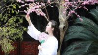 影视分区封面，国产仙侠古装电视剧精选，古典唯美风格